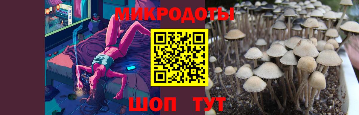 Приморско-Ахтарск  Псилоцибиновые грибы мицелий  Галлюциногенные грибы Magic Shrooms  Вход с VPN 